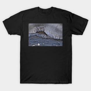 Ice Cave Entrance T-Shirt